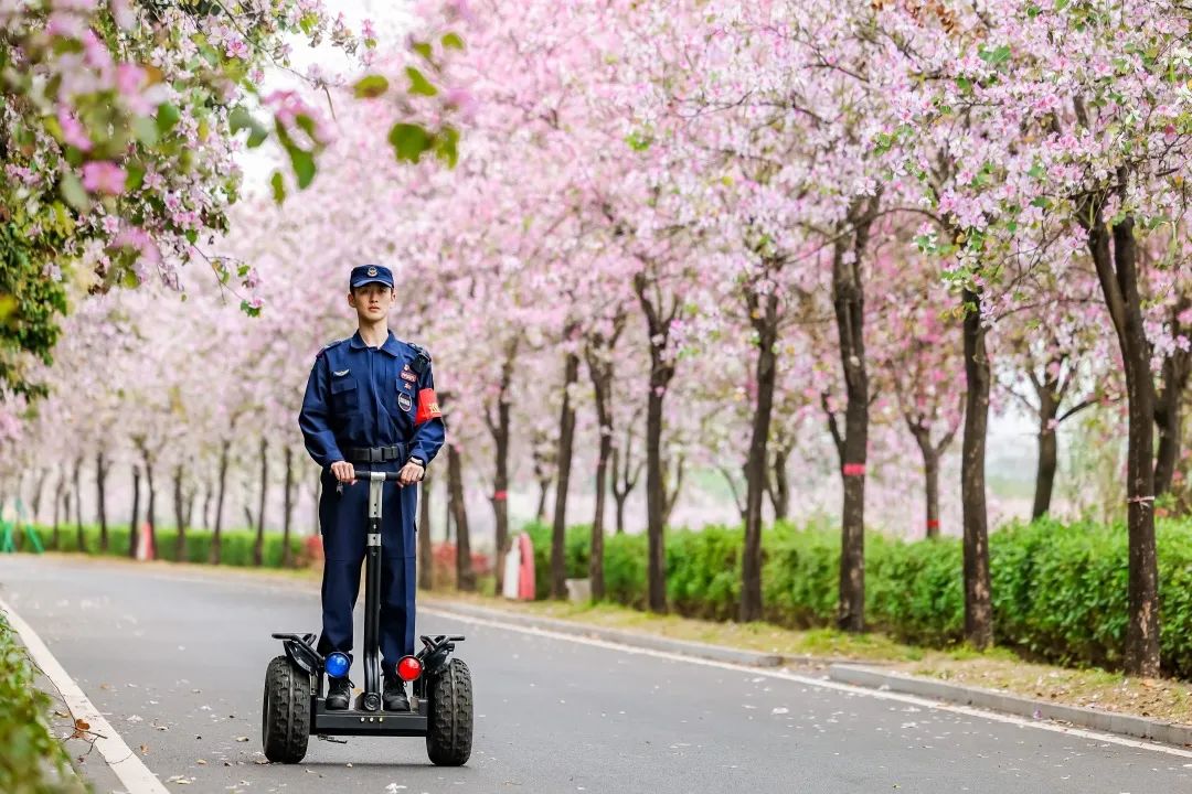 湖南保安服務,墻外高空清洗服務,湖南保利天創(chuàng)物業(yè)發(fā)展有限公司